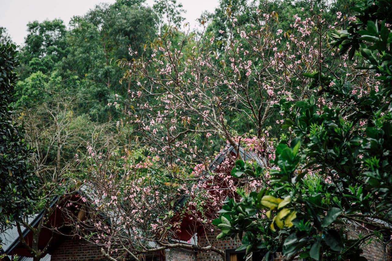 Cat Ba Spring Garden Homestay Hien Hao Екстер'єр фото
